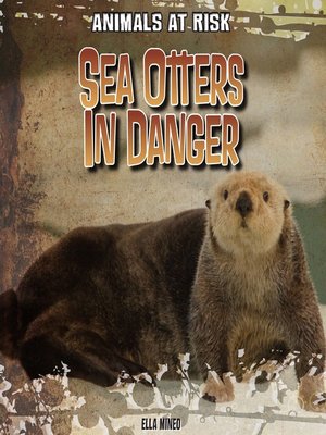 cover image of Sea Otters in Danger